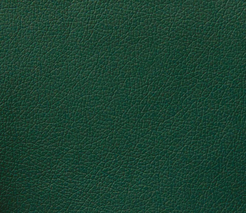 Domus green