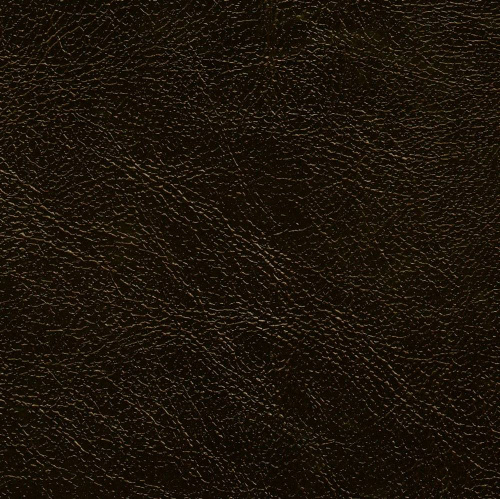 Zeus 317 204