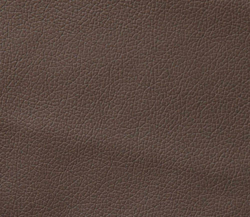 Domus taupe