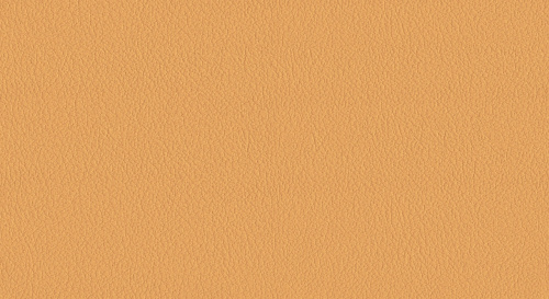 Oracul 542