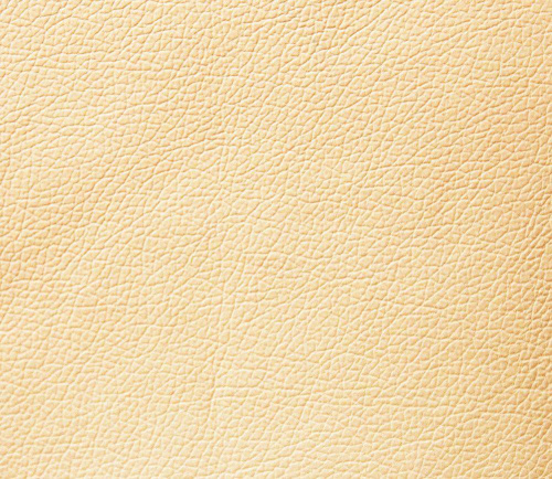 Domus cream brulle