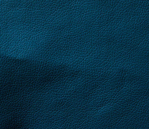 Domus navy