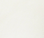 Domus white