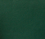 Domus green