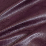 Pegas violet
