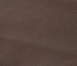 Domus taupe