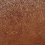 Ecotex 21