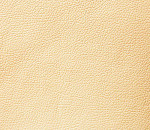 Domus cream brulle