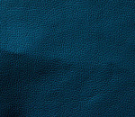 Domus navy
