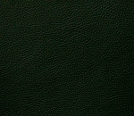 Domus black