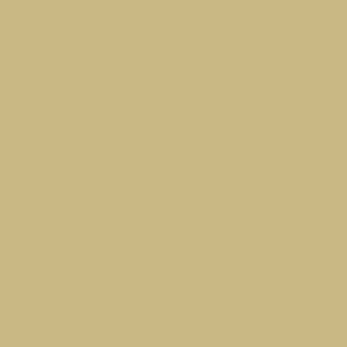 AVORIO IVORY 9