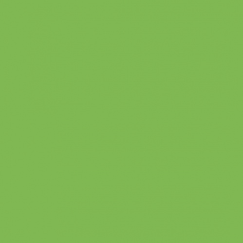 460_Sei