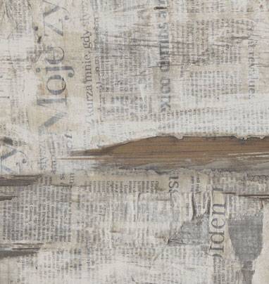 Newspaper