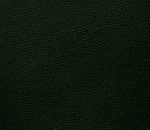 Domus black