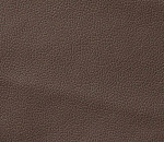 Domus taupe