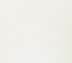 Domus white