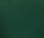 Domus green