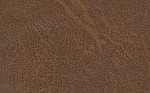 Terra Lux 02