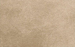 Salsa Ivory