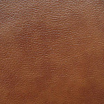 Ecotex 21